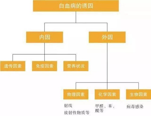 甲醛超标会引发白血病吗？