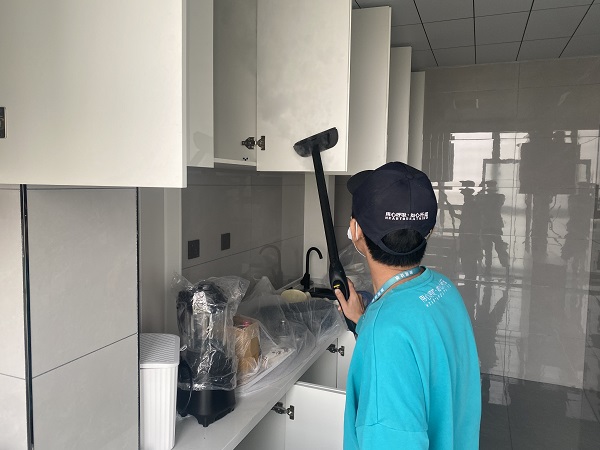 专业除甲醛